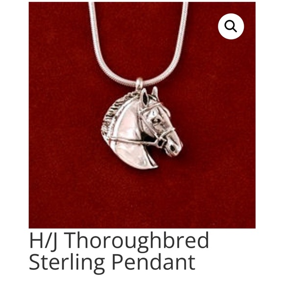 Jane Hart- Hunter/Jumper Sterling Horse head Pendant and Chain - Picture 1 of 6
